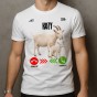 b8e9143205cffc4b4dda6aed8843a499