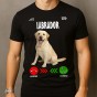 fab1a0488654435484e2c858203134f9